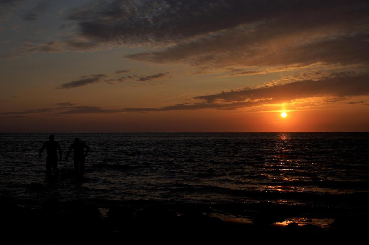 Dutch African Breeze Den Helder Buitenkant foto